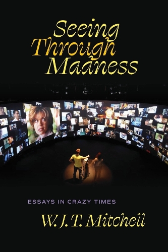 Seeing Through Madness
