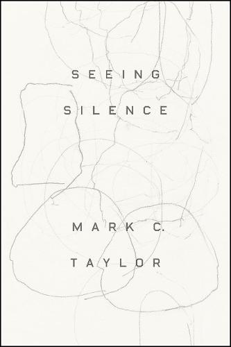 Seeing Silence