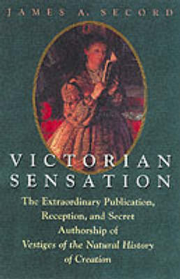 Victorian Sensation