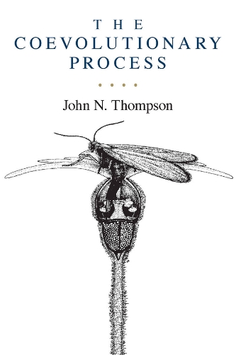 The Coevolutionary Process