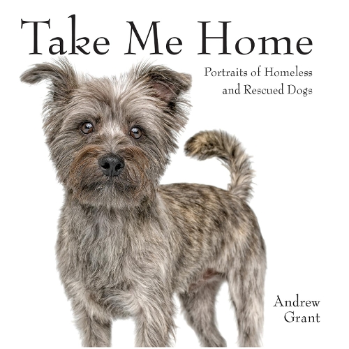 Take Me Home!