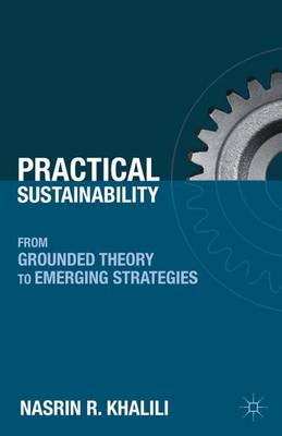 Practical Sustainability