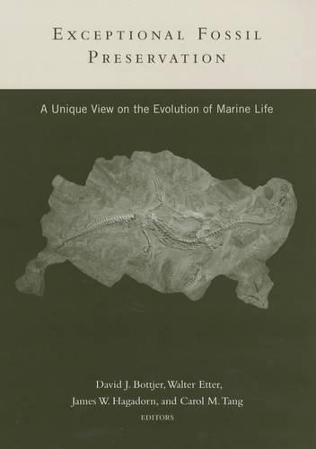 Exceptional Fossil Preservation