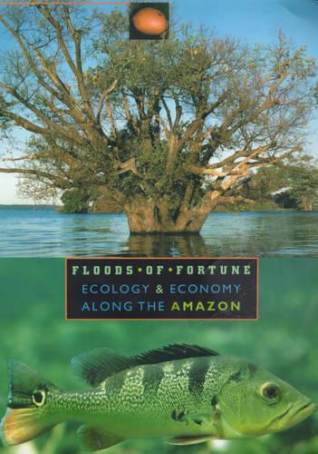 Floods of Fortune