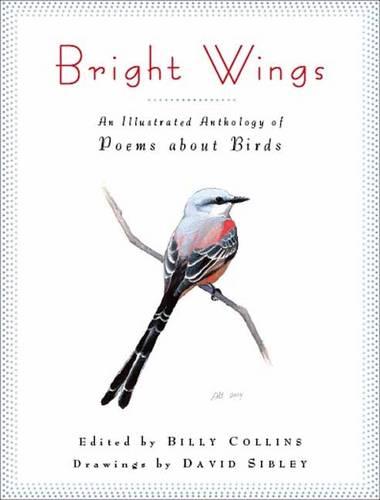 Bright Wings