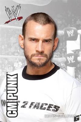 WWE CMM Punk