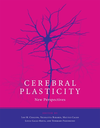 Cerebral Plasticity