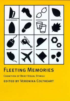Fleeting Memories