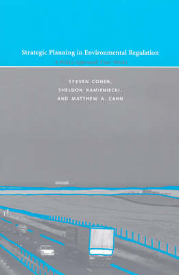 Strategic Planning in Environmental Regulation