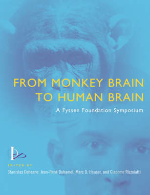 From Monkey Brain to Human Brain