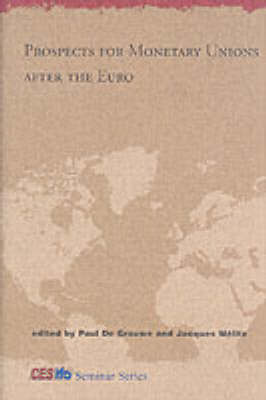 Prospects for Monetary Unions after the Euro