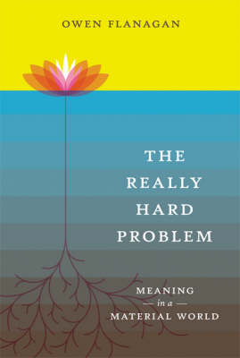 The Really Hard Problem