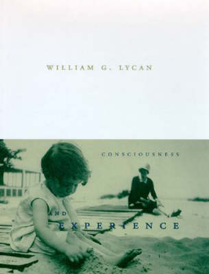 Consciousness and Experience