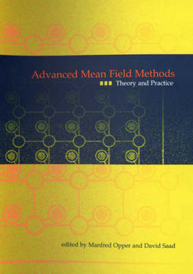 Advanced Mean Field Methods