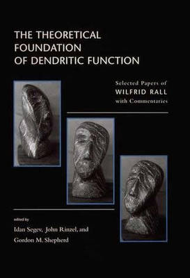 The Theoretical Foundation of Dendritic Function