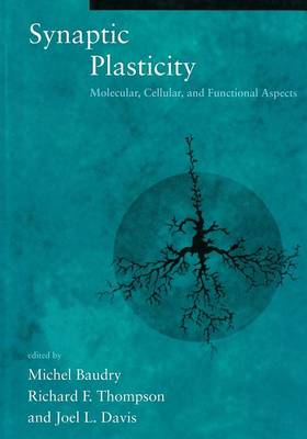 Synaptic Plasticity