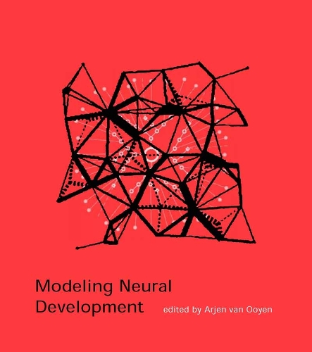 Modeling Neural Development