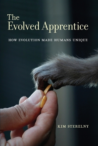 The Evolved Apprentice
