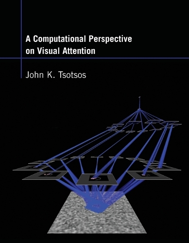 A Computational Perspective on Visual Attention