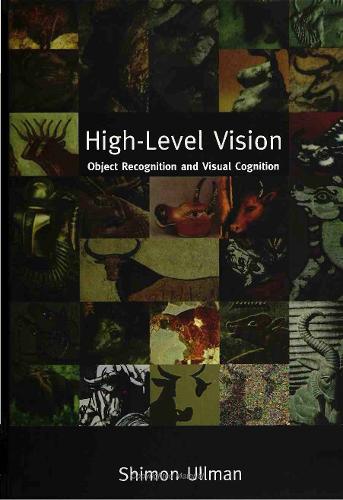 High-Level Vision