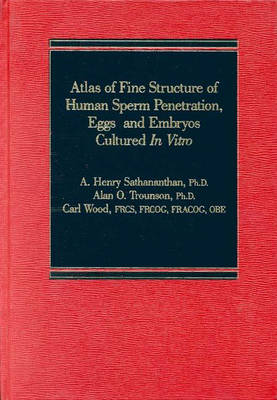 Atlas of Fine Structure of Human Sperm Penetration, Eggs, and Embryos Cultured In Vitro