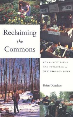 Reclaiming the Commons
