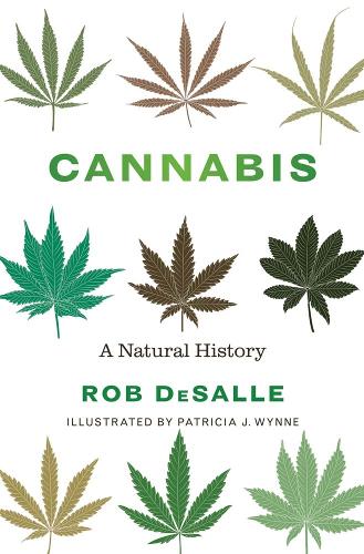 Cannabis