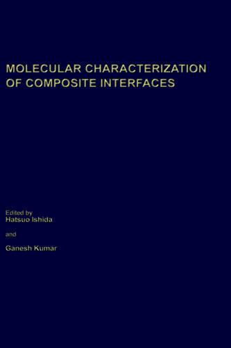 Molecular Characterization of Composite Interfaces