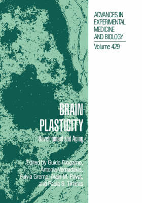 Brain Plasticity
