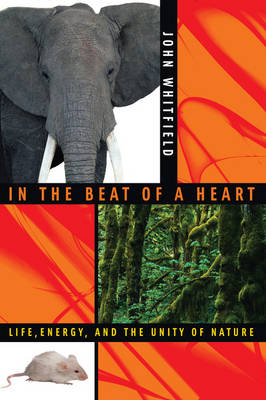 In the Beat of a Heart
