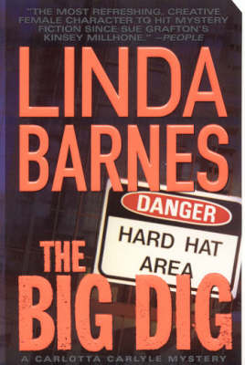 The Big Dig