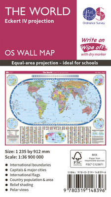 The World Eckert Iv Projection