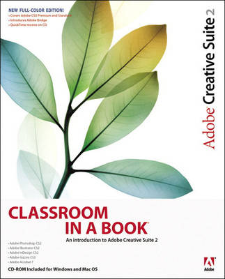 Adobe Creative Suite 2: classroom in a book