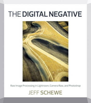 The Digital Negative