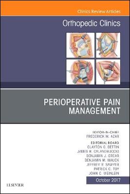 Perioperative Pain Management, An Issue of Orthopedic Clinics Volume 48-4