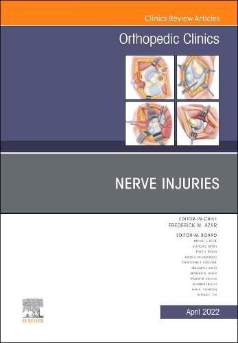 Nerve Injuries, An Issue of Orthopedic Clinics Volume 53-2