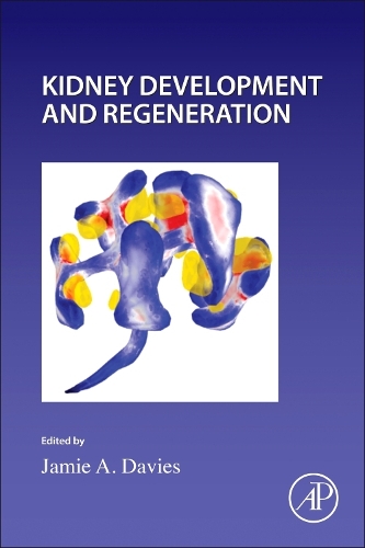 Kidney Development and Regeneration Volume 163