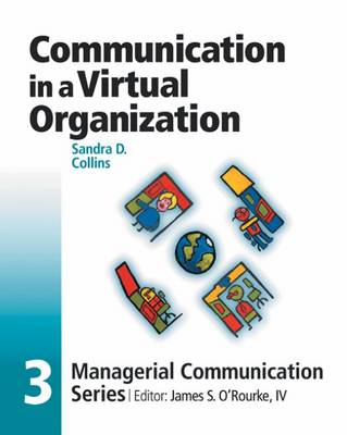 Communication in a Virtual Organization: Module 3