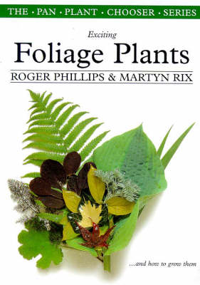 Exciting Plants for Foliage
