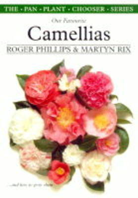 Camellias