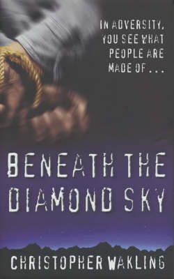 Beneath the Diamond Sky