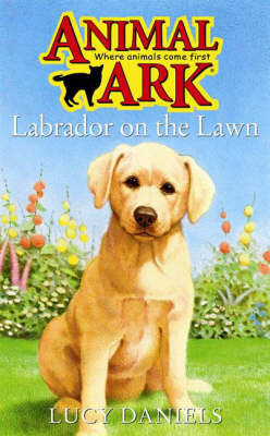 Labrador on the Lawn
