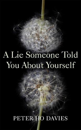 A Lie Someone Told You About Yourself