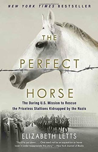 The Perfect Horse