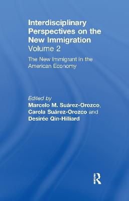 The New Immigrant in the American Economy