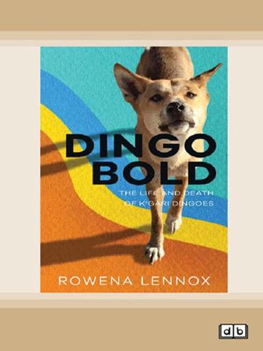 Dingo Bold