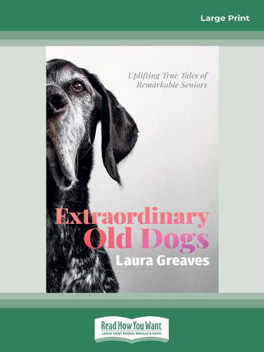 Extraordinary Old Dogs