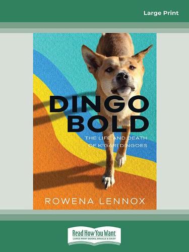 Dingo Bold