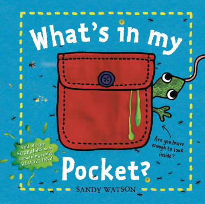 What's in My Pocket?