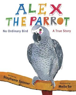 Alex The Parrot